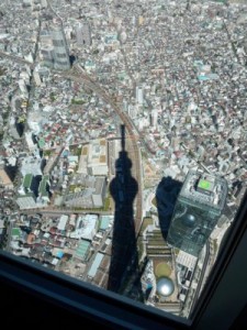 影が綺麗に。